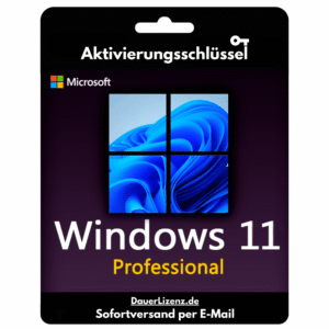 Windows 11 Professional