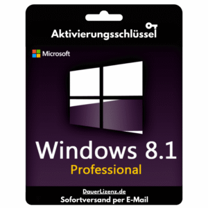 Windows 8.1 Professional